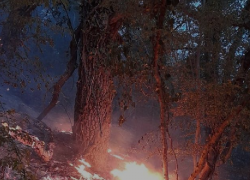 Сгорело 6 гектаров леса: пожароопасность не покидает Новороссийск