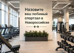 Где новороссийцы предпочитают «прокачивать» себя? Узнали об этом ко Дню физкультурника
