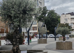 Погода в Новороссийске в понедельник: пасмурно и дождливо 