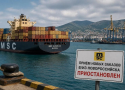 Новороссийск без MSC? Крупнейший перевозчик остановил прием новых заказов