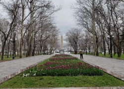 День земли, прогулок по парку предлагают отпраздновать новороссийцам