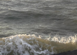 Спасенных моряков с затонувшего судна отправили в Новороссийск