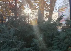 Январское тепло и облачность: погода в Новороссийске