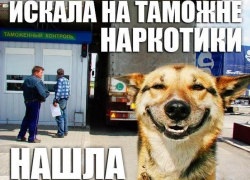 Как наркотики попадают в Новороссийск из Америки