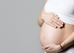 Беременные женщины смогут бесплатно ездить по Новороссийску 