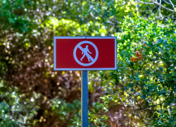 Внимание! Посещение лесов Новороссийска ограничено из-за высокой пожароопасности