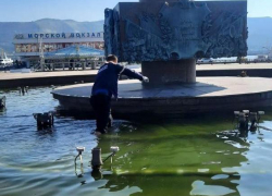 Собака решила принять фонтанные освежающие процедуры в самом видном месте Новороссийска