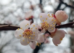 В Новороссийске свет победил тьму: прогноз погоды и важная дата