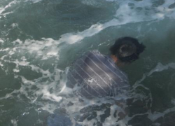 Загадочный несчастный случай: в море Новороссийска нашли труп мужчины