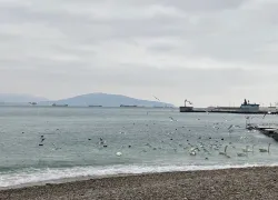 На двух участках Чёрного моря учёные зафиксировали превышение ПДК по углеводородам
