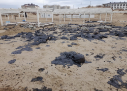 Ущерб от разлива мазута в Черном море оценили в 84,9 миллиардов 