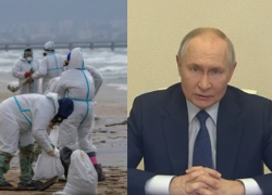 Владимир Путин недоволен тем, как в Черном море устраняют мазут