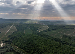 Погода в Новороссийске: облачно с прояснениями, немного прохладнее