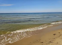 Детям купаться можно: пляж детского курорта в Анапе получил положительное заключение Роспотребнадзора