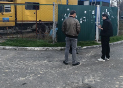 Фекалии на улицах Новороссийска прямо сейчас обследуют сотрудники Минприроды края