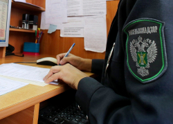 Кубанский предприниматель сдал с поторохами инспектора Россельхознадзора