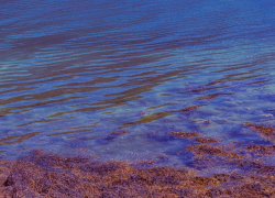 Погода в Новороссийске: вода в море будет словно парное молоко