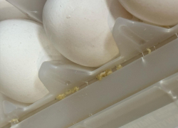 Яйца с червями доставили жительнице Новороссийска