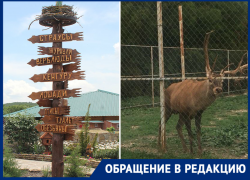 "Воет то ли от голода, то ли от боли": посетители зоопарка в Натухаевской переживают за животных 