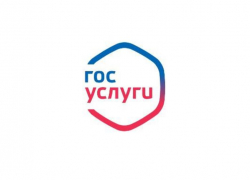 Госуслуги блокируют пользователей за работу некоторых приложений