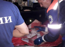 Собачью жизнь спас отряд МЧС Новороссийска