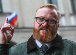 Не трогайте псов! Виталий Милонов считает, что с законом о защите детей от бездомных собак торопиться не надо