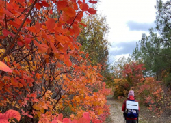 Топ-3 пешеходных осенних маршрута недалеко от Новороссийска