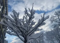 Погода в Новороссийске: ветер стихнет и потеплеет 