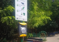 Пионерскую рощу Новороссийска решили сделать чище
