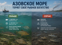 Азовское море теряет рыбное богатство