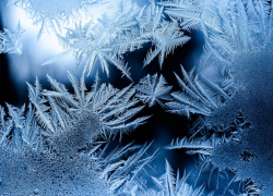 На Кубани ожидаются заморозки: что насчет Новороссийска 