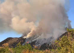 Новороссийцы могут схлопотать крупный штраф за прогулку по лесу 
