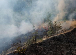 В Новороссийске горит лес на горе Колдун