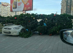 Ураган порывами до 40 метров в секунду ожидается в Новороссийске