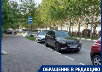 Жительница Новороссийска обеспокоена судьбой одинокой остановки на Набережной