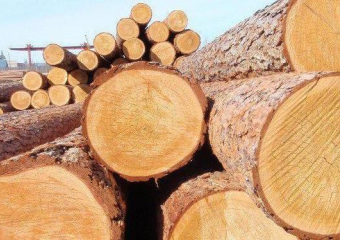 Раевская будет пилить 3,5 миллиарда рублей