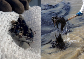 Это вам не песок! Ученые спасают испачканную в мазуте гальку на Черноморских пляжах... "авоськами"!