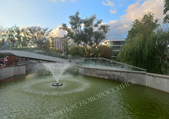 «Пруд пахнет рыбой, тиной и чем-то тухлым», - житель Новороссийска о водоёме в парке Фрунзе