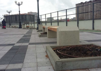  Сто смертей на новой набережной: новороссийцы скорбят по соснам