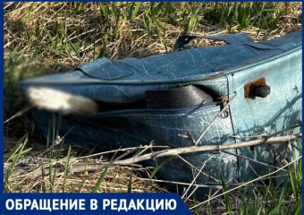 Жительница Новороссийска обнаружила кровавую находку на виноградниках