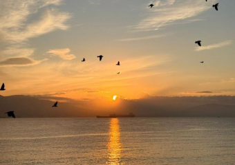 Гороскоп от «Блокнота»: Ракам быть осторожнее в общении, а Львы решат любой вопрос 