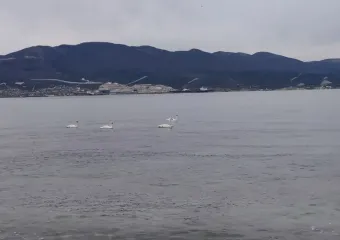 В Черном море у берегов Анапы и Новороссийска произошло землетрясение 