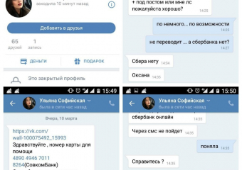 - Мошенники зарабатывают на бездомных животных! – предупреждают зоозащитники