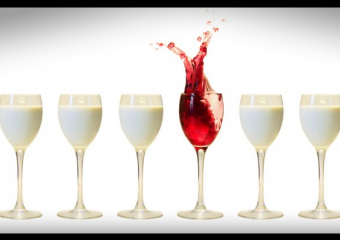 Новороссийцы и жители Кубани стали пить больше вина, но меньше молока