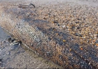 Повторные выбросы мазута в Анапе: ученые считают, что частицы нефтепродуктов море будет приносить еще несколько лет