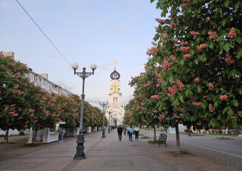 Погода в Новороссийске: самое время больше гулять на улице 