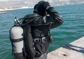 - Лебедь убежал пешком по воде, дно обследовано, - купальный сезон в Новороссийске открыт