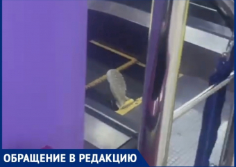 Эскалатор зажевал кроссовок девочки в новороссийском ТЦ