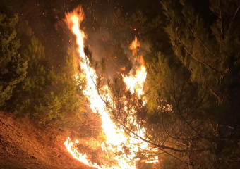 Экстренные службы полночи спасали гору Колдун в Новороссийске