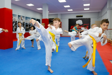 Клуб единоборств «БОЕЦ Punch»